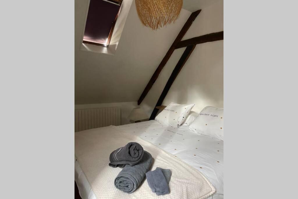 Appartement «La Vie Est Belle» Au Coeur De Sézanne エクステリア 写真